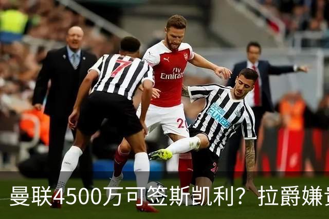 曼联4500万可签斯凯利？拉爵嫌贵已拒绝！但红魔仍未放弃追求霍尔